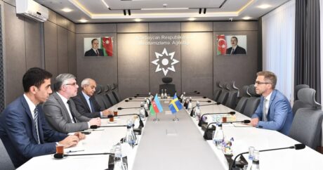 ​​​​​​​Азербайджан и Швеция обсудили возможности сотрудничества в области разминирования