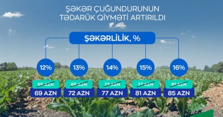 В Азербайджане повышена закупочная цена на сахарную свеклу