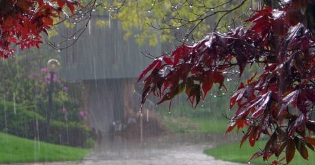 Завтра в Азербайджане ожидаются дожди и грозы