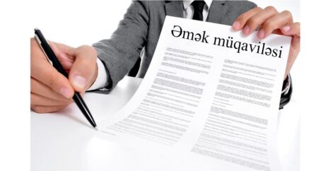 Названо количество трудовых договоров в Азербайджане