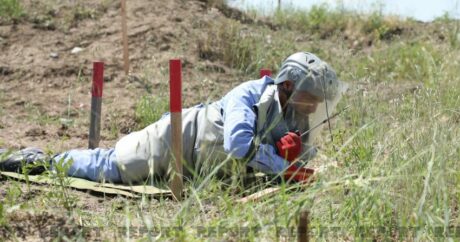 На освобожденных территориях Азербайджана обнаружено еще 68 мин