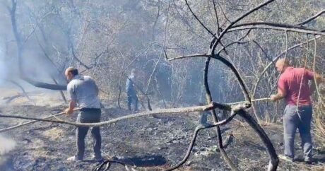 В Джалилабаде и Бейлагане произошли пожары
