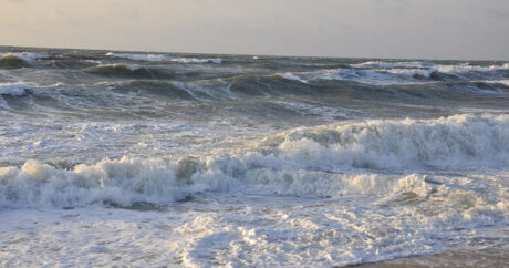 Министерство экологии проведет акцию по очистке побережья Каспия