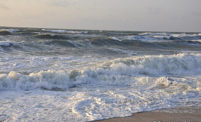 Министерство экологии проведет акцию по очистке побережья Каспия
