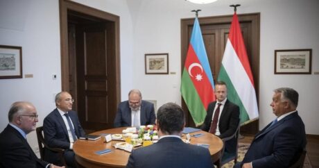 Азербайджан и Венгрия обсудили перспективы сотрудничества по совместным проектам