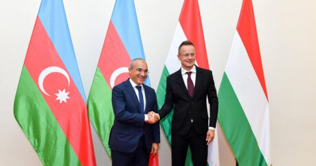 Азербайджан обсудил с Венгрией проекты «зеленой энергии»
