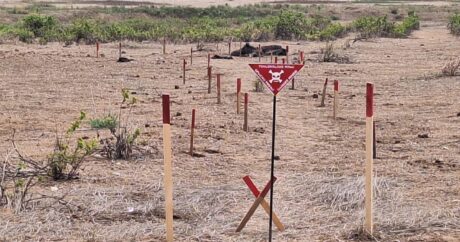 В августе на освобожденных территориях обнаружены 972 противопехотные мины