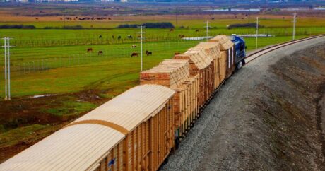 «Азербайджанские железные дороги» увеличили грузоперевозки почти на 2%