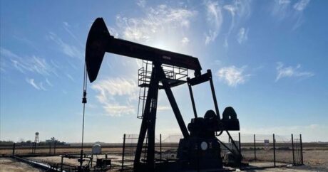 Стоимость азербайджанской нефти за неделю