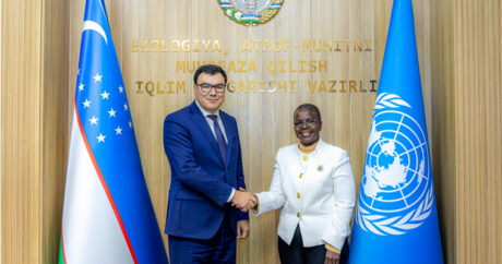 Узбекистан достиг договоренности с UNFF о сотрудничестве в реализации проекта «Яшил Макон»