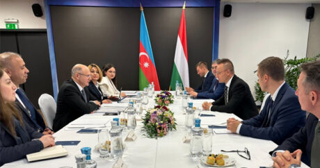 Азербайджан и Венгрия обсудили пути ускорения создания СП для «зеленого» коридора