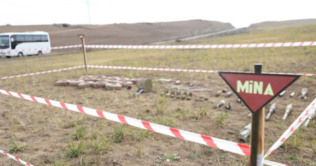 ANAMA: На освобожденных территориях обнаружена еще 71 мина