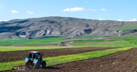 В Азербайджане изменились правила ведения Государственного земельного кадастра