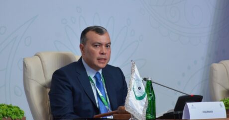 Сахиль Бабаев: Безработица среди молодежи в странах-членах ОИС составляет 15,8 процента