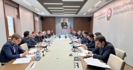 Обсуждены трудности, с которыми сталкиваются граждане Азербайджана при оформлении виз в страны ЕС