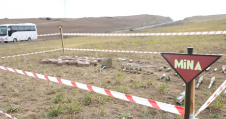 ANAMA: На освобожденных территориях обнаружена еще 171 мина