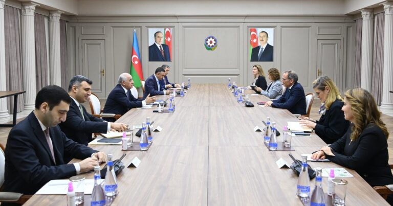 Али Асадов встретился с делегацией Международной финансовой корпорации