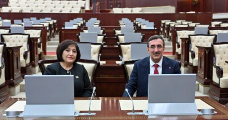 Спикер парламента Азербайджана встретилась с вице-президентом Турции