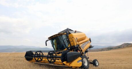 В Азербайджане аграрный сектор вырос на 3%