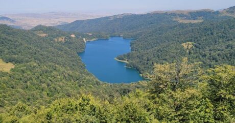 В 2023 году национальные парки Азербайджана посетили более 260 тыс. туристов