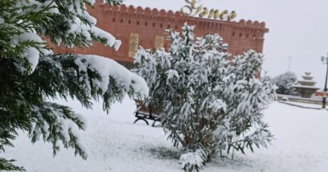 В некоторых регионах Азербайджана выпал снег