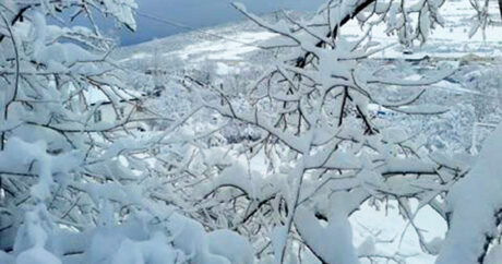 Высота снежного покрова в Лянкяране составила 37 см
