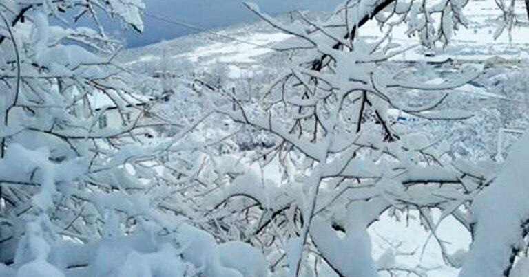 Высота снежного покрова в Лянкяране составила 37 см