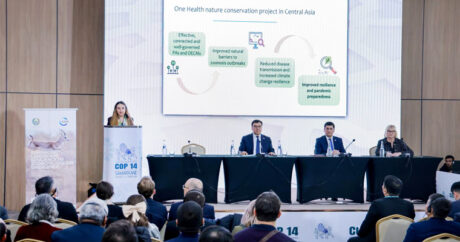 «Единое здоровье»: В Центральной Азии запущена инициатива в размере 11 млн евро