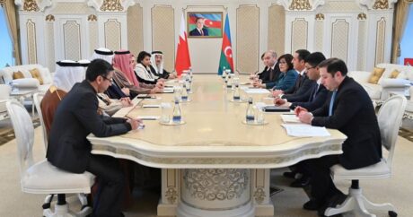 Азербайджан и Бахрейн обсудили перспективы сотрудничества между парламентами