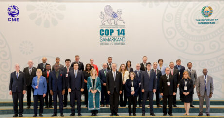 В Самарканде состоялась церемония открытия CMS COP14