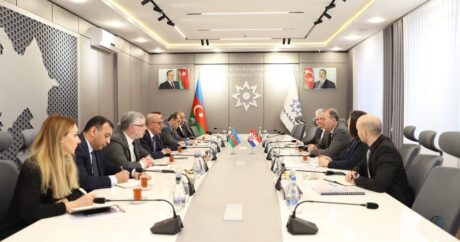 Азербайджан и Хорватия обменяются опытом в области разминирования
