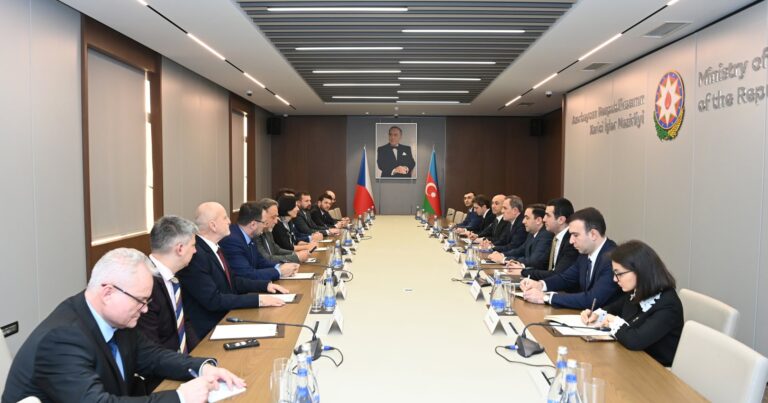 Глава МИД Азербайджана провел обсуждения с председателем Палаты депутатов Чехии