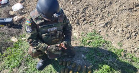 МЧС: На территории города Хырдалан обнаружено 12 гранат