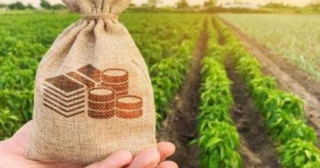 ЦБА: Кредиты банков аграрному сектору превысили 1,5 млрд манатов