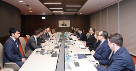 Азербайджан и Бразилия обсудили сотрудничество по «зеленому» финансированию в рамках COP29