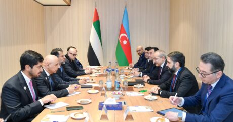 Азербайджан и ОАЭ обсудили потенциальные области сотрудничества в рамках COP29