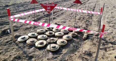 Названо количество мин, обнаруженных на освобожденных территориях Азербайджана