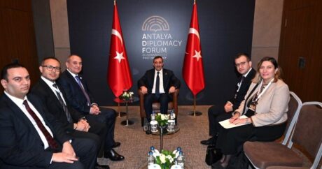 Вице-президент Турции принял делегацию ПЕА