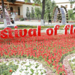 Наманган готовится к 63-му Международному фестивалю цветов