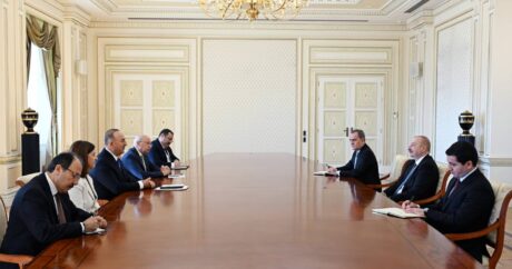 Президент Ильхам Алиев принял депутата Великого национального собрания Турции