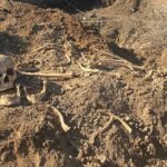 В Азербайджане в этом году найдены останки 48 человек