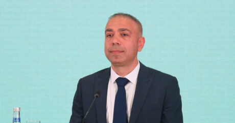 Эльнур Солтанов: Доля Азербайджана в глобальной эмиссии составляет около одной тысячной