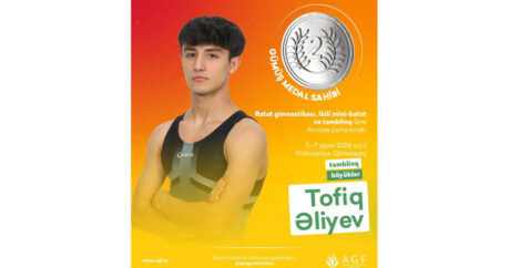 Азербайджанский гимнаст завоевал «серебро» чемпионата Европы