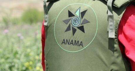 ANAMA призвала международные организации к решению минной проблемы Азербайджана