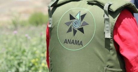 ANAMA: На освобожденных территориях обнаружено еще 159 мин