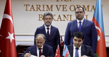 Азербайджан и Турция подписали декларацию о сотрудничестве в области аграрных исследований и разработок