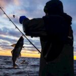 В Азербайджане с 1 мая рыбная ловля будет запрещена