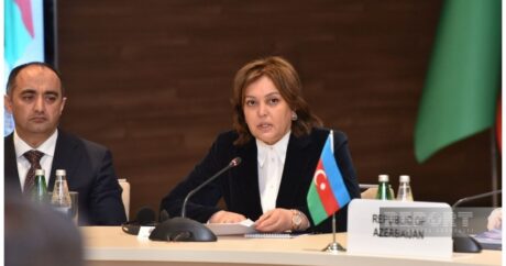Умайра Тагиева: Азербайджан принимает меры по минимизации загрязнения Каспия