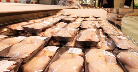 В импортированной из России куриной продукции обнаружена сальмонелла