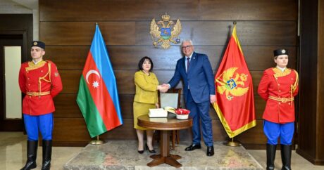 Обсуждены связи между парламентами Азербайджана и Монтенегро